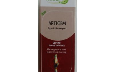 Artigem bio 50 ml Herbalgem
