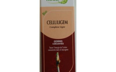 Celluligem bio 50 ml Herbalgem