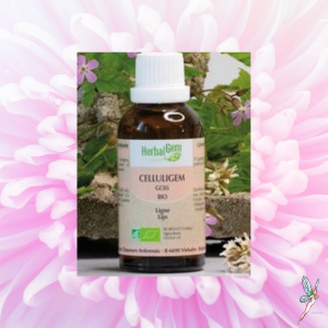 Celluligem bio 50 ml Herbalgem
