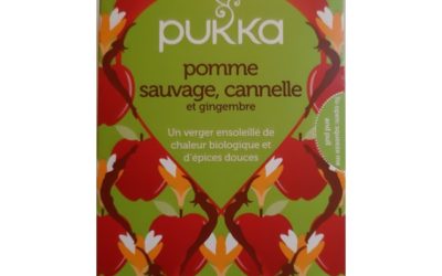 Tisane Pukka Pomme Sauvage Cannelle et Gingembre