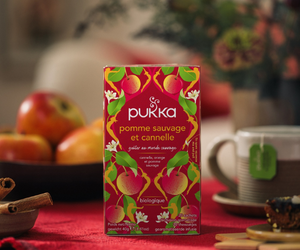 Tisane Pukka Pomme Sauvage Cannelle et Gingembre